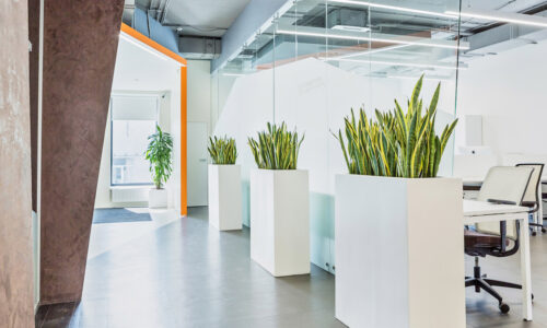 office